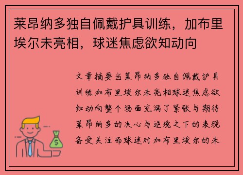 莱昂纳多独自佩戴护具训练，加布里埃尔未亮相，球迷焦虑欲知动向
